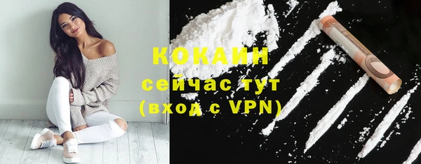 индика Балабаново