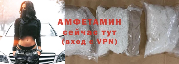 индика Балабаново