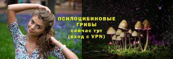 индика Балабаново