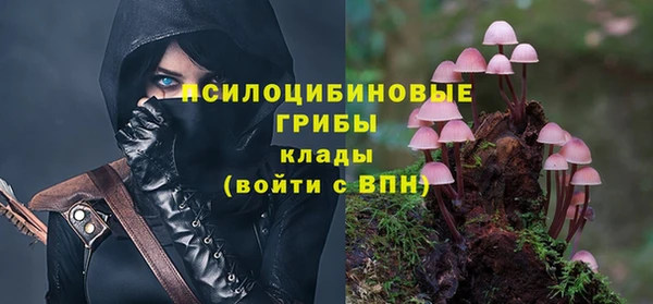 индика Балабаново